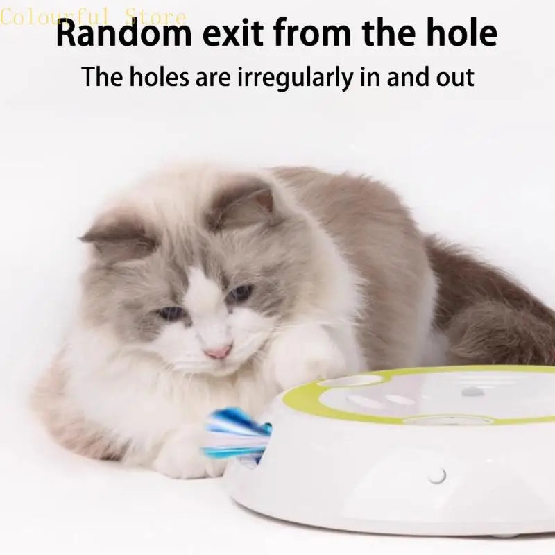 Hands Free Interactive Cat Toy
